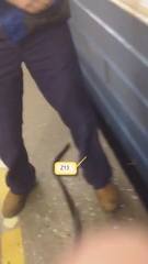 http://images.vfl.ru/ii/1502998631/01207367/18284061_m.jpg