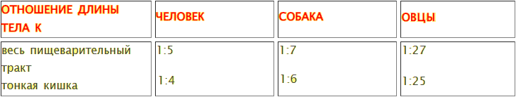 https://i3.imageban.ru/out/2022/06/15/36a6c5ec6ea6ac0c0272c63969c9e80e.png