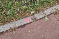 http://images.vfl.ru/ii/1499177345/895e4ca4/17813318_s.jpg