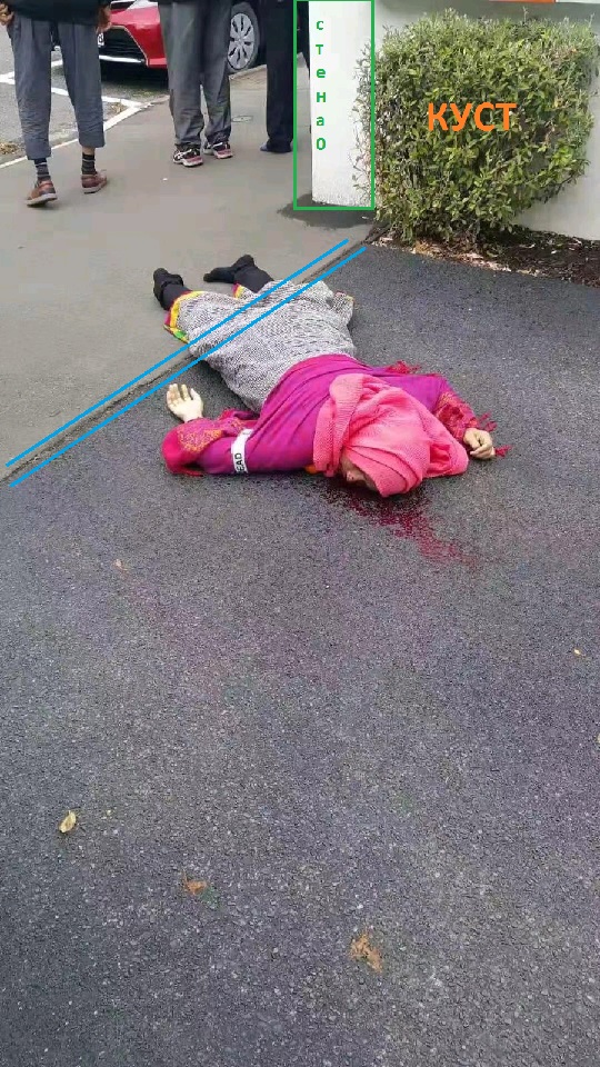 http://images.vfl.ru/ii/1552965278/b9f17354/25822069.jpg