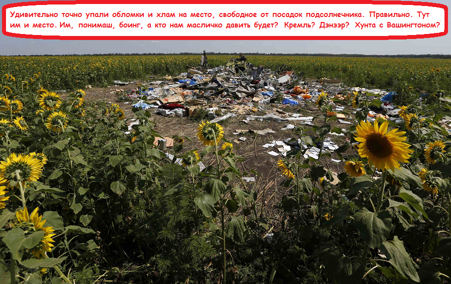 http://images.vfl.ru/ii/1409966919/4020e3c5/6245562.png