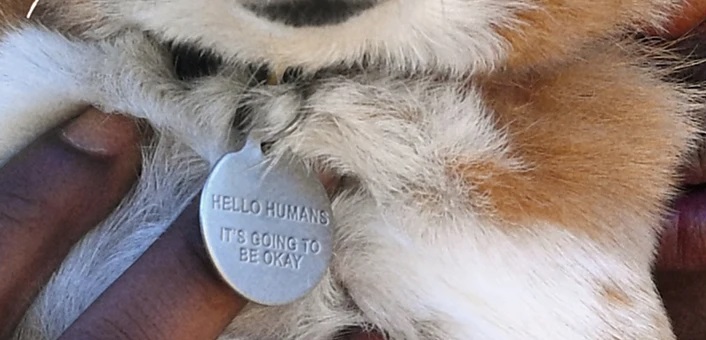 https://i.imgur.com/iXwUMP8.jpg