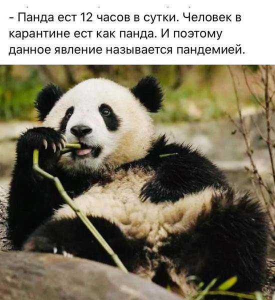 http://images.vfl.ru/ii/1587493236/06cebd5d/30289423.jpg