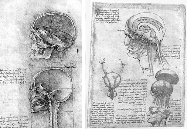 http://www.confcontact.com/2013-nauka-v-informatsionnom-prostranstve/ik6_shalomova.files/image008.jpg