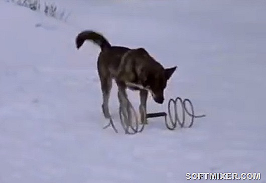 http://mtdata.ru/u25/photoFDCD/20298158857-0/original.jpg