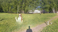 http://images.vfl.ru/ii/1550595514/84966691/25465018_s.png