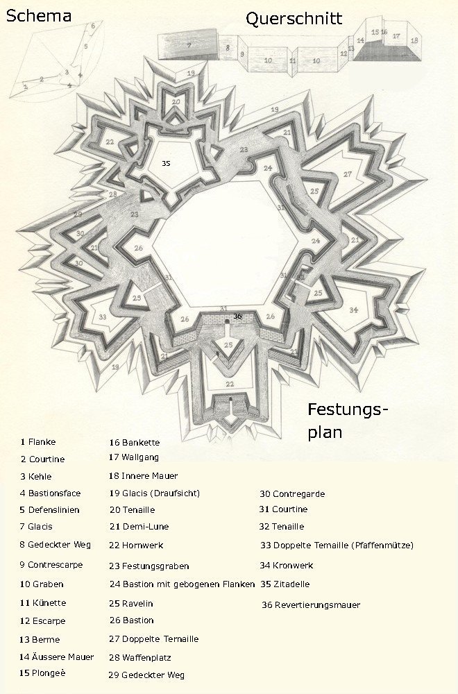 https://upload.wikimedia.org/wikipedia/commons/f/ff/Vesting_index.jpg