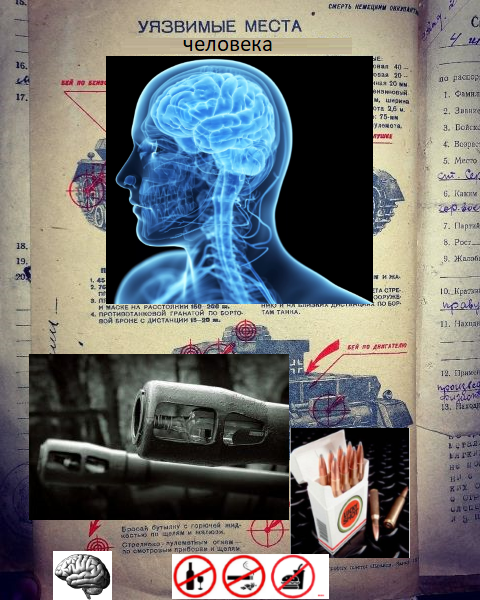 https://i.ibb.co/LR6fxWW/085748585-1.png