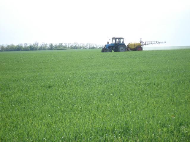 http://images.vfl.ru/ii/1404389313/96d1247f/5612352.jpg
