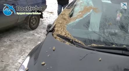 http://images.vfl.ru/ii/1418297505/bbb5046f/7192779_m.jpg