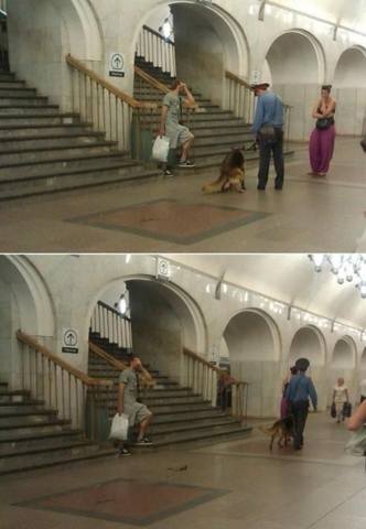 http://images.vfl.ru/ii/1533209085/eaef47b8/22727990_m.jpg