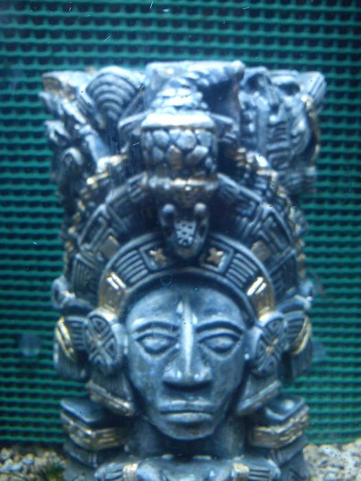 http://images.vfl.ru/ii/1412497920/c8641977/6552504.jpg