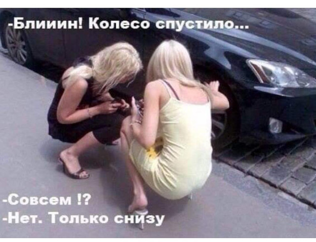 https://i.ibb.co/sK2wpnV/IMG-20190302-WA0000.jpg