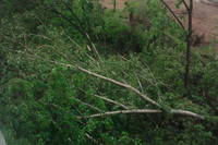 http://images.vfl.ru/ii/1496176422/ad0e51f2/17406465_s.jpg