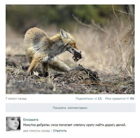 http://images.vfl.ru/ii/1507195159/31997c54/18866892.jpg