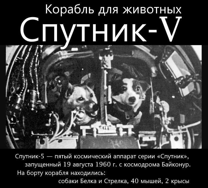 http://images.vfl.ru/ii/1627890990/e7c85ed1/35360536.jpg