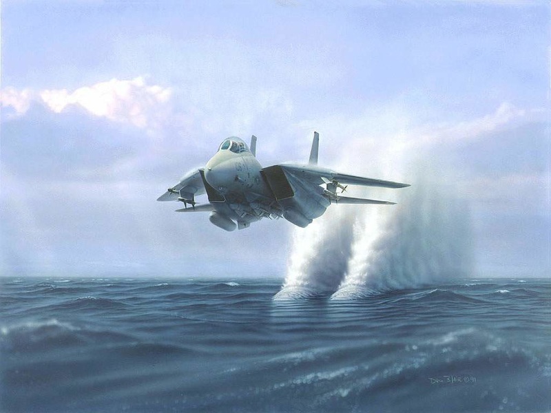 http://img.desktopwallpapers.ru/avia/pics/f14-above-water.jpg