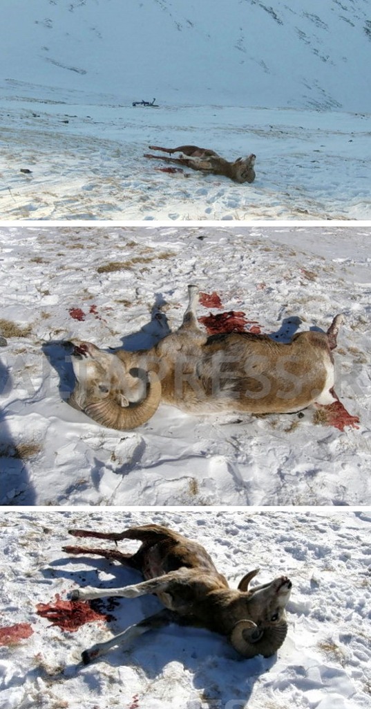 http://images.vfl.ru/ii/1414609230/92531610/6790464.jpg