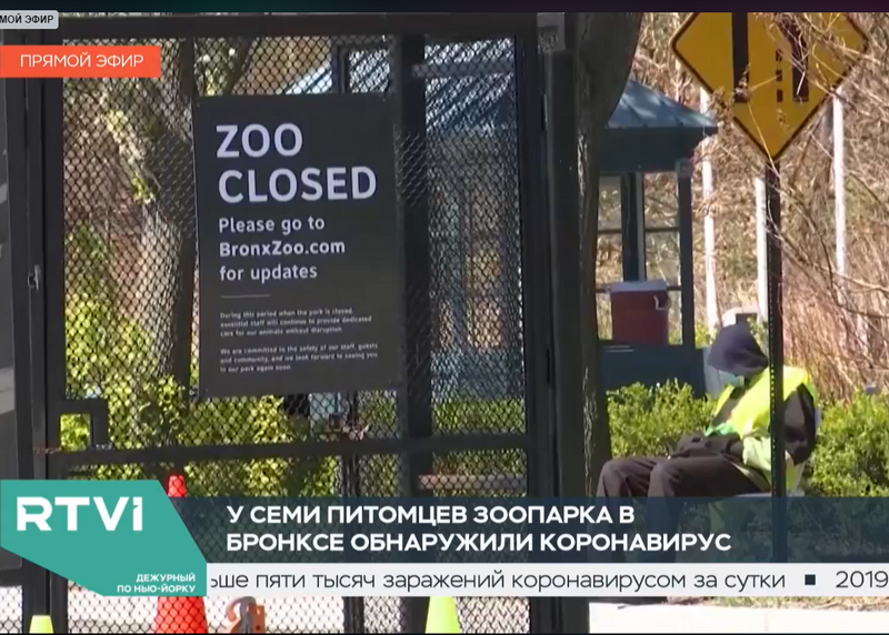 http://images.vfl.ru/ii/1588359354/2df05210/30386387.png