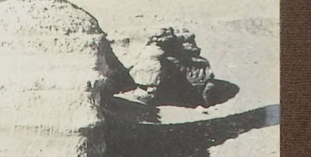 http://images.vfl.ru/ii/1501604316/6889664e/18104222.jpg