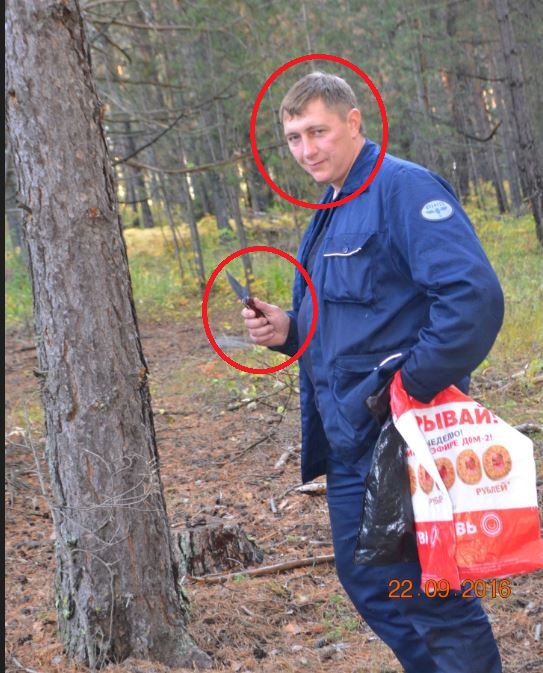 http://images.vfl.ru/ii/1494369012/3184414f/17166472.jpg