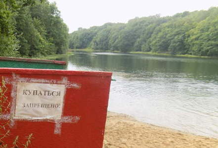 http://images.vfl.ru/ii/1592418121/1c085135/30835441.jpg