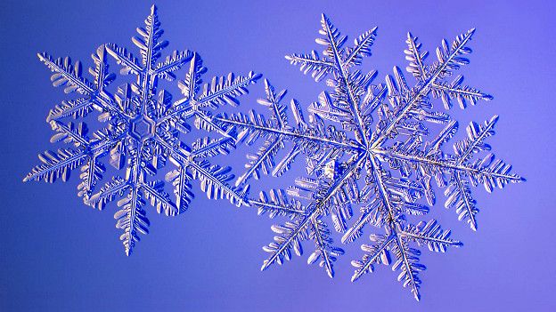 http://ichef-1.bbci.co.uk/news/ws/624/amz/worldservice/live/assets/images/2015/12/28/151228134527_snowflakes_5_624x351_kenlibbrecht_nocredit.jpg