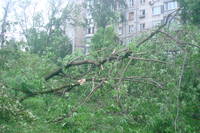 http://images.vfl.ru/ii/1496177089/8a37e9e3/17406521_s.jpg