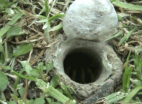 http://supercoolpics.com/wp-content/uploads/2015/07/81e3b6f909aaff60a10ac25664cb8374.gif