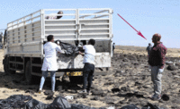 http://images.vfl.ru/ii/1552468600/8edff370/25746050_s.gif