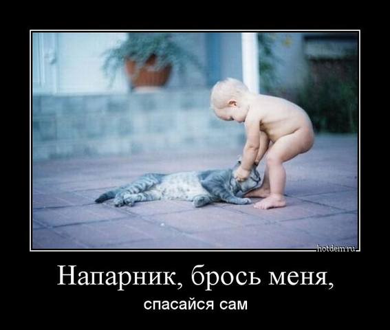 http://images.vfl.ru/ii/1494457277/15328b81/17179369_m.jpg