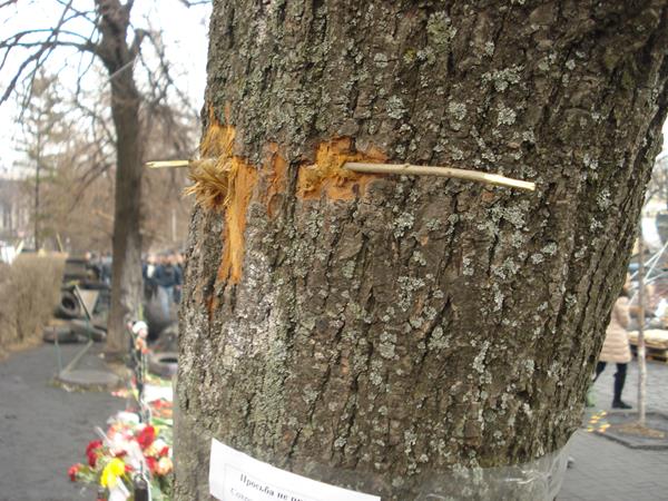 http://images.vfl.ru/ii/1394576181/28566cd2/4473163.jpg