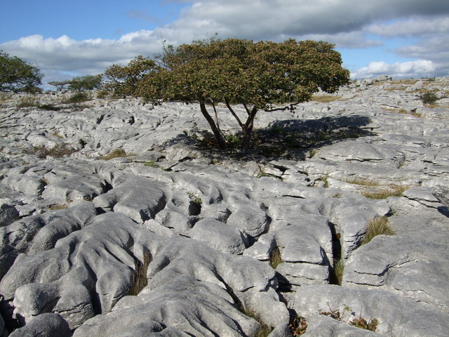 http://s0.geograph.org.uk/photos/55/19/551913_782a8145.jpg