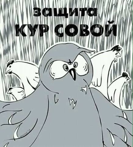http://images.vfl.ru/ii/1558421861/3192d9e1/26606067_m.jpg