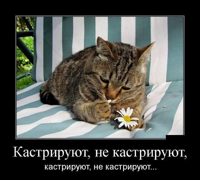 http://images.vfl.ru/ii/1511237615/ebbf6b19/19506000.jpg