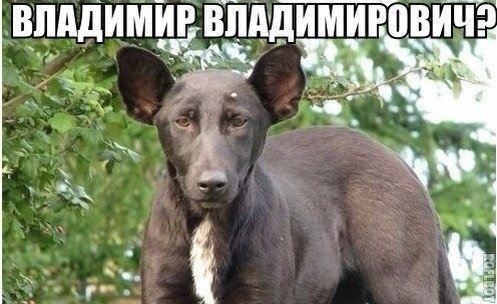 http://images.vfl.ru/ii/1497961876/f9847c16/17643975.jpg