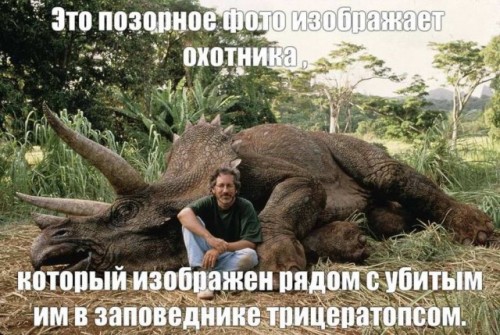 https://d.radikal.host/2023/01/09/16973853.md.jpg