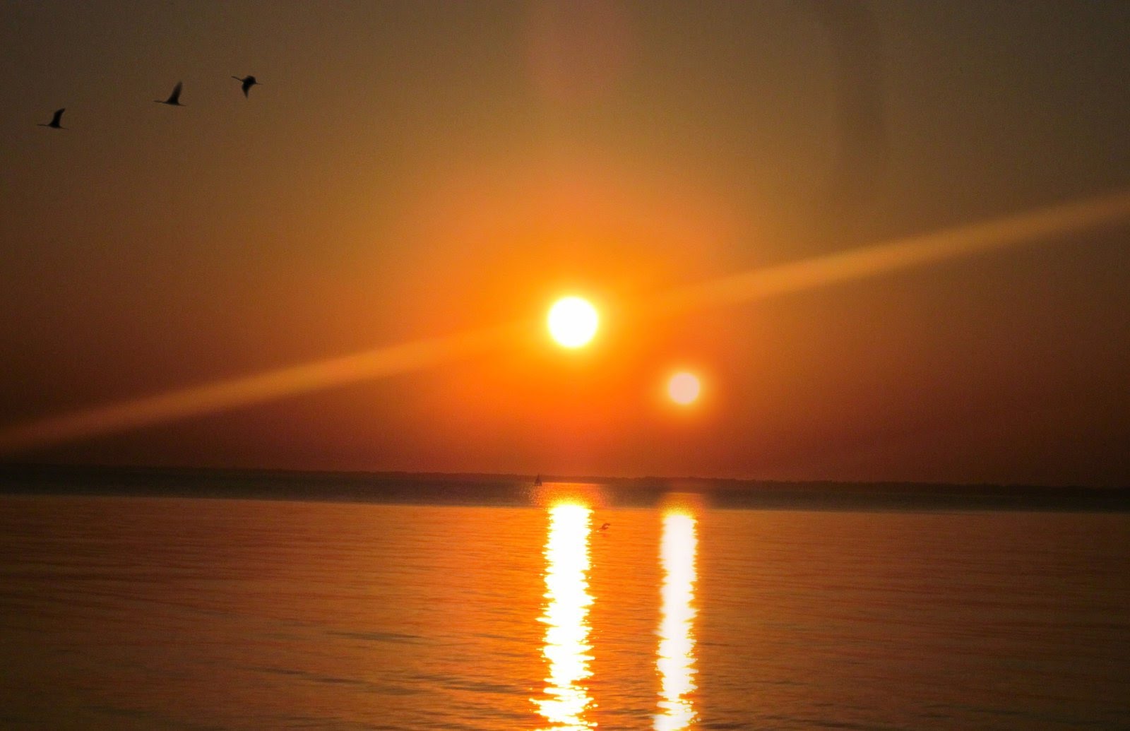 https://steemitimages.com/DQmbpRd3eYC9HqwjL5EQKZ44ymF51BcTUvN1yZZeazbND6Z/TWO%20SUNS%20WITH%20BIRDS.jpg