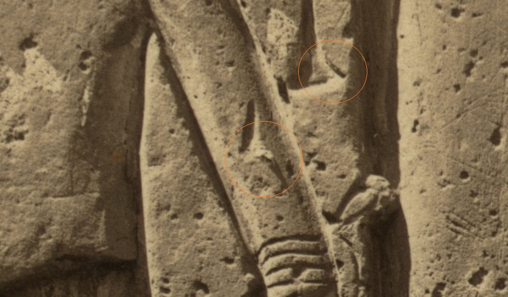 http://images.vfl.ru/ii/1500918128/d8b9dd46/18022385.jpg
