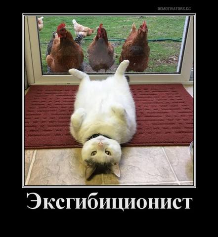 http://images.vfl.ru/ii/1504204129/823185a0/18437488_m.jpg