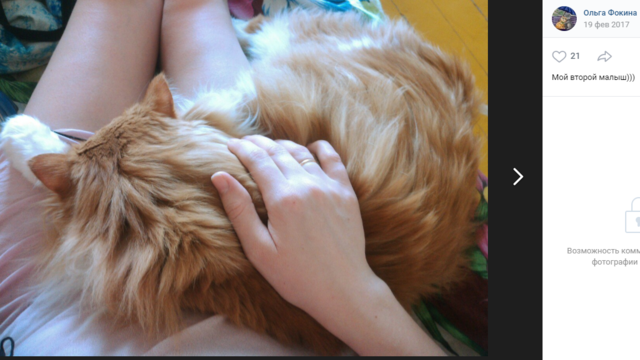 http://images.vfl.ru/ii/1547063186/8b3049ec/24884990_m.png