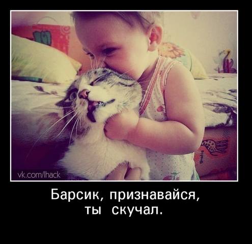 http://images.vfl.ru/ii/1493503619/a3993ed2/17047430_m.jpg