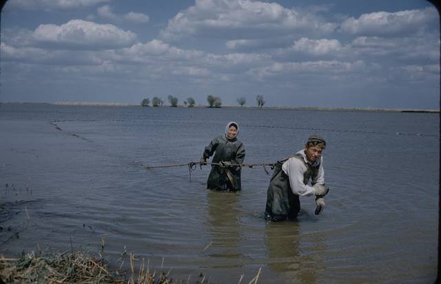 http://images.vfl.ru/ii/1610462626/345c1e9b/32929090.jpg