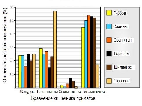 http://images.vfl.ru/ii/1631978470/3efc4e9a/35911364_m.jpg