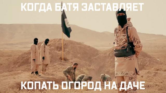 https://s17.postimg.cc/89s326van/DP3d9ib_Xc_AISa_VL.jpg