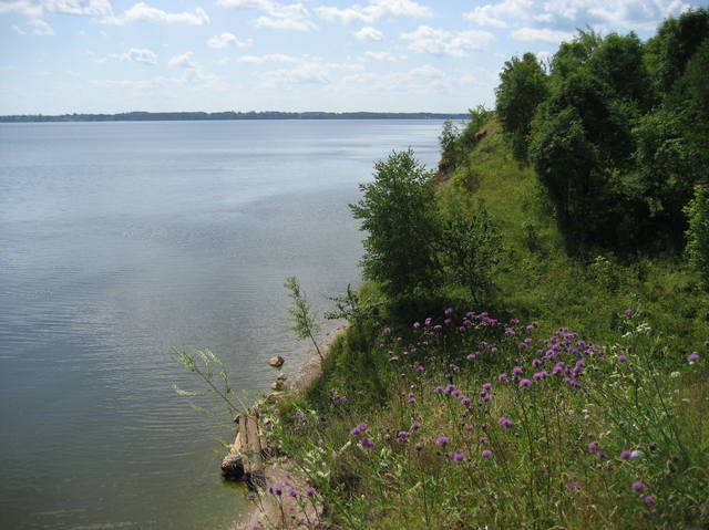 http://images.vfl.ru/ii/1610575179/e0020884/32943471.jpg