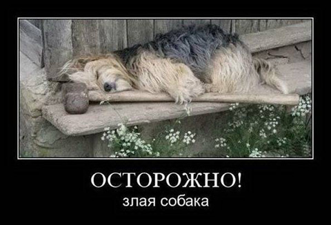 http://images.vfl.ru/ii/1526127285/13d96ee7/21712431.jpg