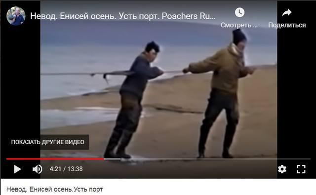 http://images.vfl.ru/ii/1610462535/d75155a6/32929083.jpg