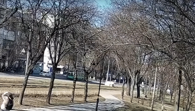 https://i.imgur.com/ZWap8rA.gif