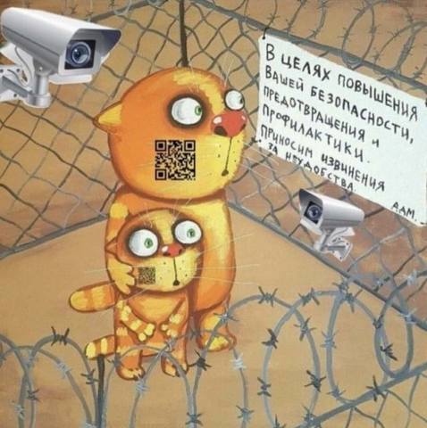 http://images.vfl.ru/ii/1588767486/48baac71/30428968.jpg